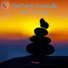 About Nature Sounds Song