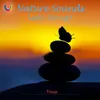 Nature Sounds