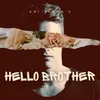 About Hello Brother (DISS) Song