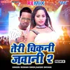 About Teri Chikani Jawani 2 - Remix Song