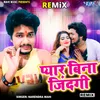 About Pyar Bina Jindagi - Remix Song