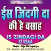 Is Zindagi Da Ki Vsaa