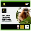 About Golden Langur Festival Song