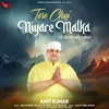 About Tere Choj Niyare Malka Song