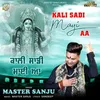 About Kali Sadi Mayi Aa Song
