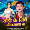 About Dhodi Ke Niche Ludhiana Ba Song