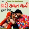 About Thari Sakal Gandi Song