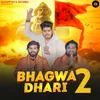 About Bhagwadhari 2 Song