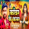 About Kanwar Ke Color Song