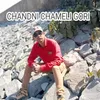 About Chandni Chameli Gori Song