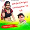 About Langho Bhalyela Ko Pahar Bna TiK Tok Song