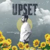 About Upset Song