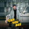 About Can You See Song