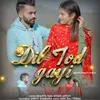 About Dil Tod Gayi Song