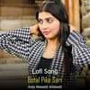 About Botal Pike Sari - Lofi Song Song