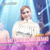 About Aduhai Seribu Kali Sayang (Dangdut) Song