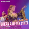 About Bukan Aku Tak Cinta (Dangdut) Song