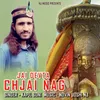 About Jai Devta Chjai Nag Song