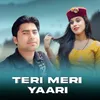 TERI MERI YAARI