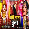 About Teri Lal Chunar Song