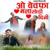 About O Bewafa Mala Sodi Dini Song