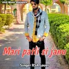 About Mari patli si janu Song