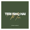 About Teri Ishq Hai Meri Song