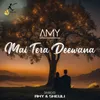 About Mai Tera Deewana Song