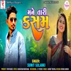 About Mane Tari Kasam Song