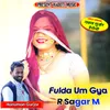 About Fulda Um Gya R Sagar M Song