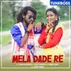 About Mela Dade Re Song