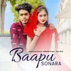 About Baapu Sonara Song