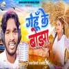 About Gehu Ke Bojha Song