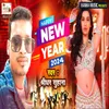 About Happy New Year 2024 Song
