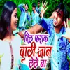 About Dil Farak Bali Jaan Laile Ba Song