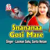 About Snananaa Goti Mare Song