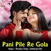 About Pani Pile Re Gola Song