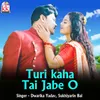 About Turi kaha Tai Jabe O Song