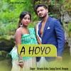 About A Hoyo Song