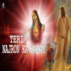 About Teri Najron Ka Karam Song