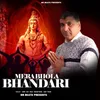 About Mera Bhola Bhandari Song