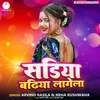 About Sadhiya Badhiya Lagela Song