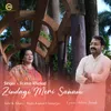 About Zindagi Meri Sanam Song