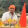 About Bhagwa Nachenge Song