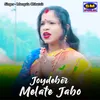 About Joydeber Melate Jabo Song