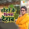 About Tohare Ke Dilwa Dehab Song