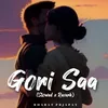 About Gori Saa (Slowed x Reverb) Song