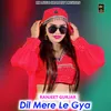 Dil Mera Le Gya