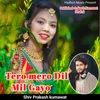 About Tero Mero Dil Mil Gayo Song