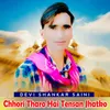 About Chhori Tharo Hai Tensan Jhatko Song